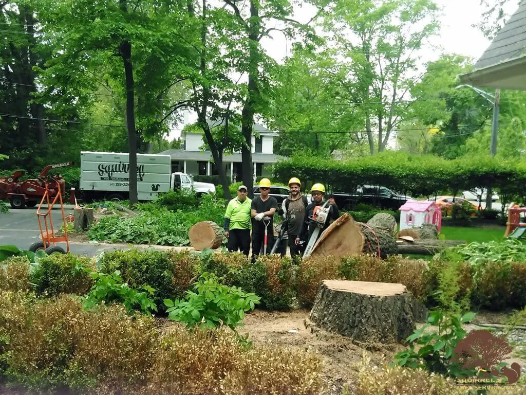 Squirrels Tree Service crew and equipment during a large land clearing project in Zion, IL