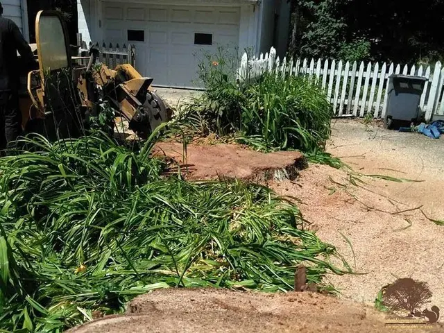 Stump grinder machine removing a tree stump near a driveway in Zion, IL